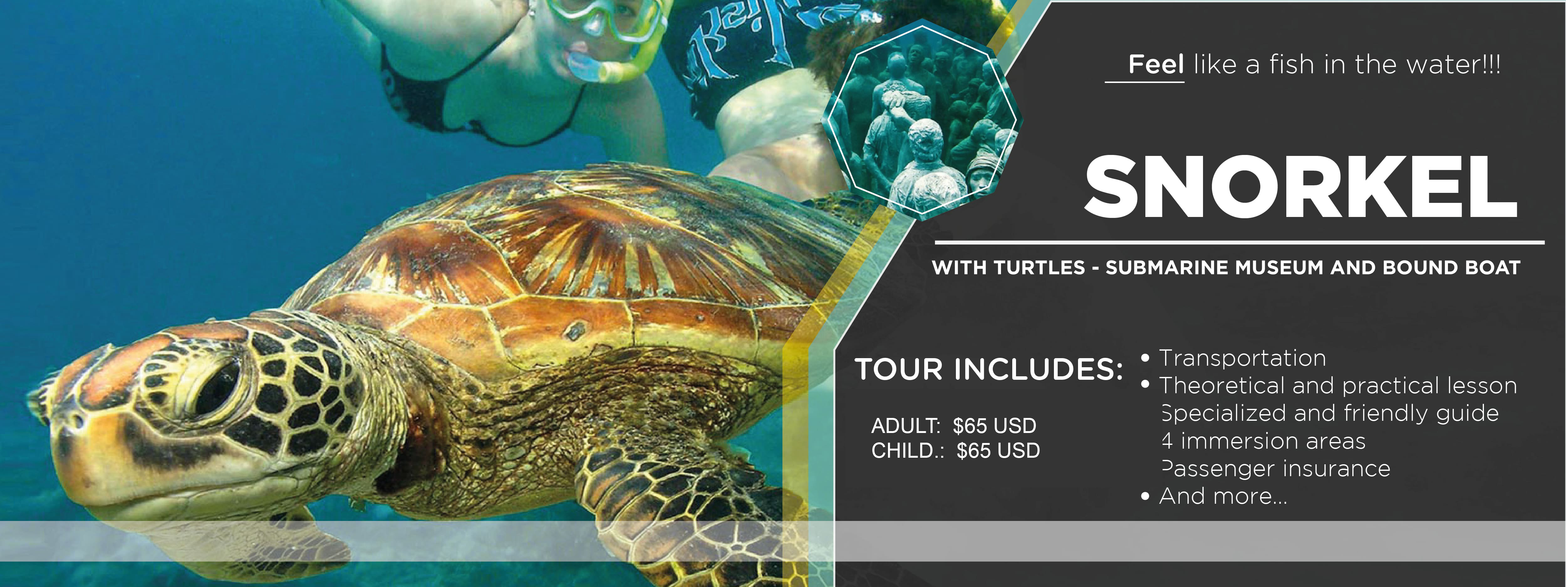 TOUR SNORKEL WITH TURTLES - SUBMARINE MUSEUM AND BOUND BOAT