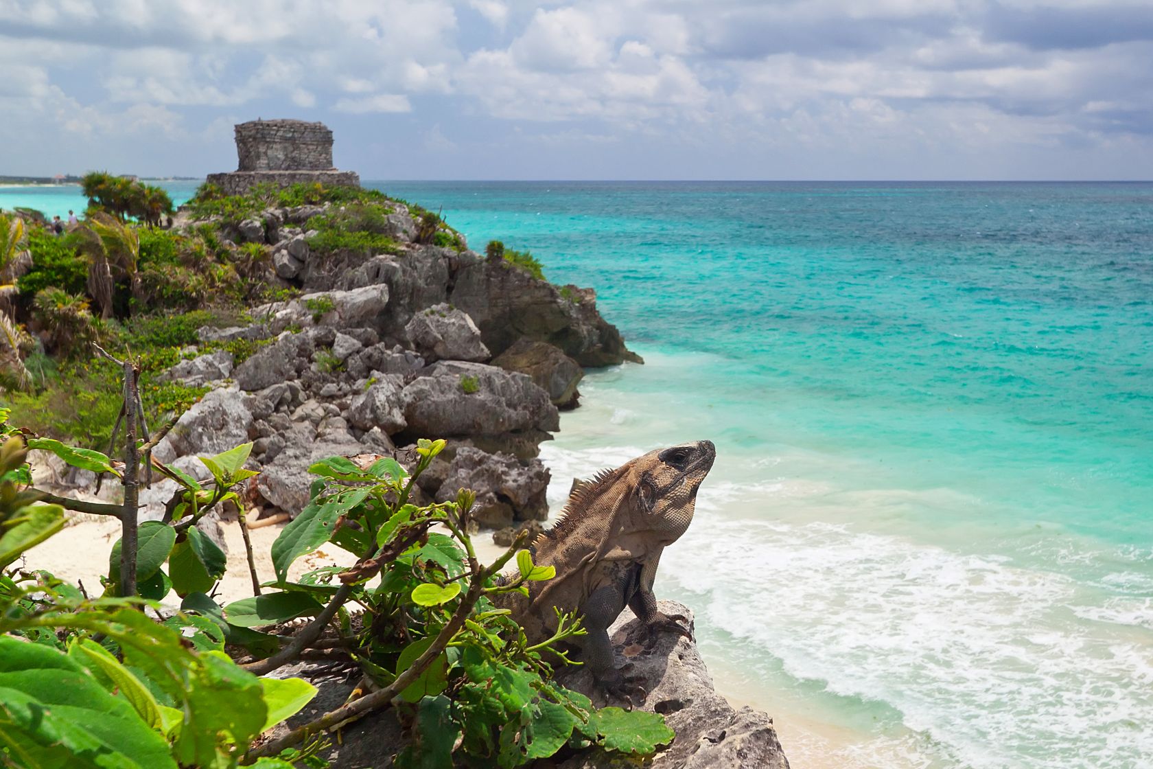 tulum y parque del jaguar 5