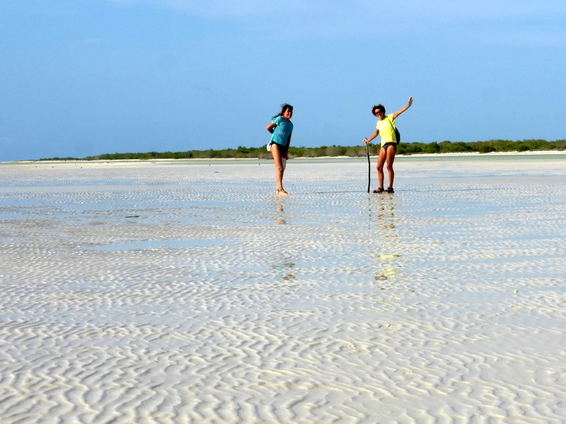 holbox transportacion  3