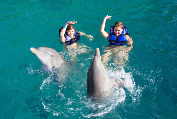 Cancun All Tours -DOLPHIN SPLASH EN CANCUN, PUERTO MORELOS O RIVIERA MAYA