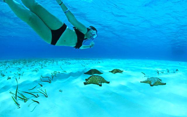 cozumel snorkeling tours from cancun